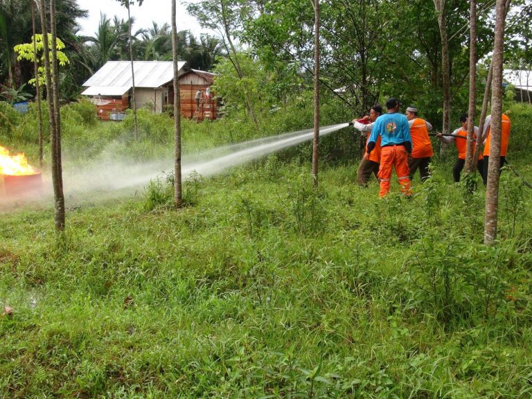 PELATIHAN PENGENDALIAN KEBAKARAN HUTAN DAN LAHAN DI SEKITAR  HUTAN