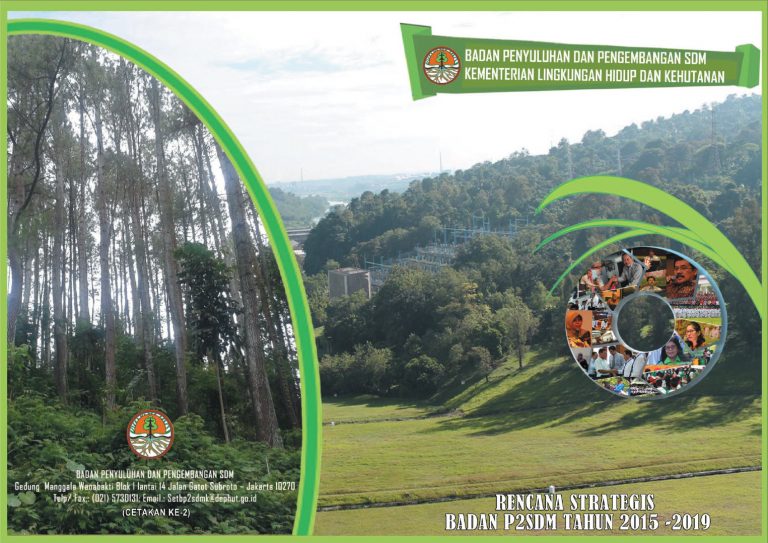 Renstra BP2SDM 2015 – 2019
